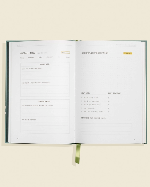 No Worries: A Guided Journal to Help You Calm Anxiety