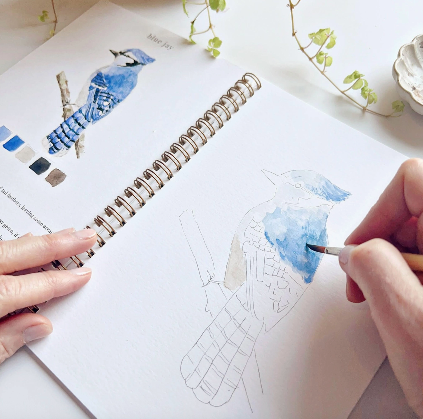 birds watercolor book 