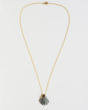 Necklace with a shell pendant on a light gray background