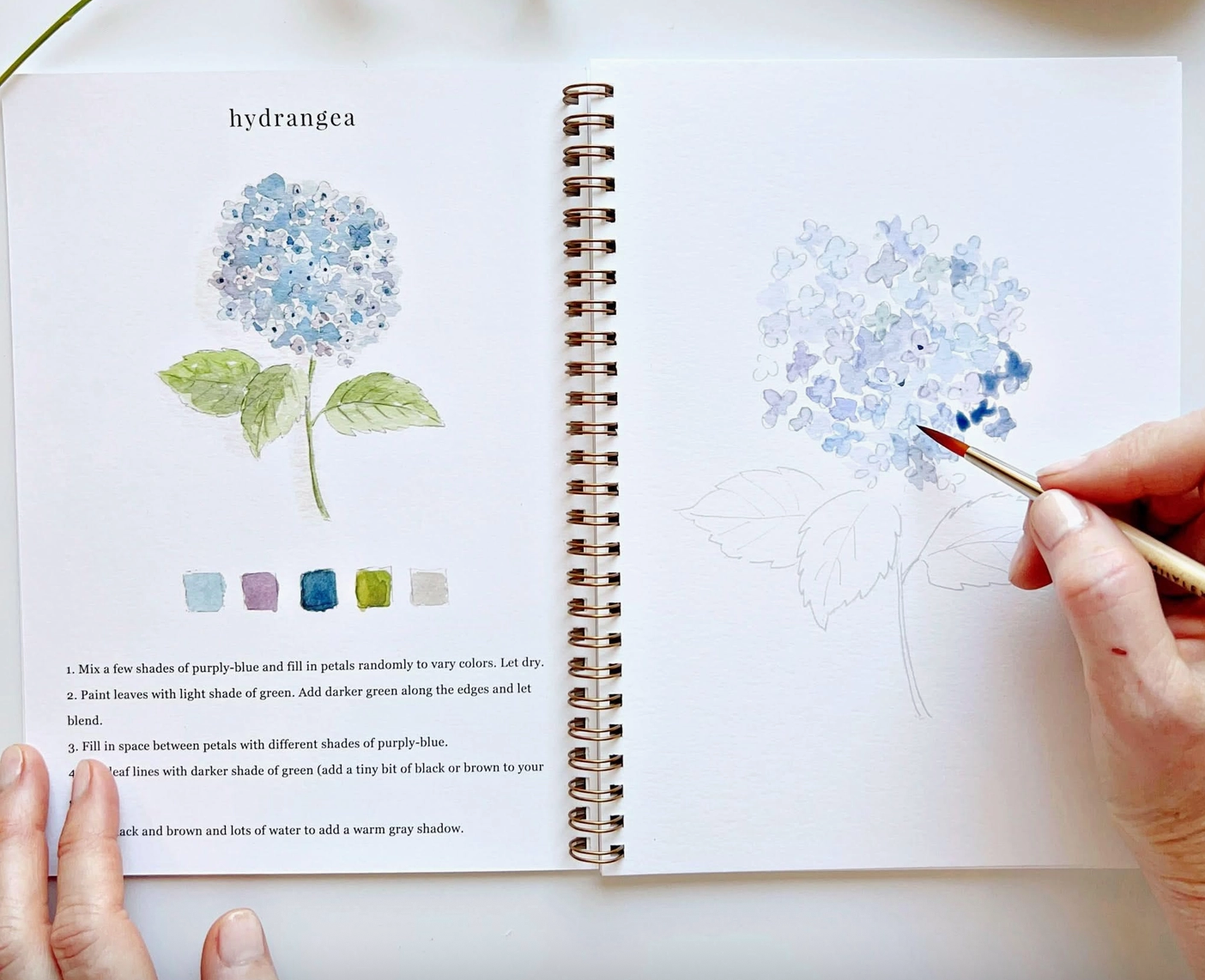 Flower watercolor book 