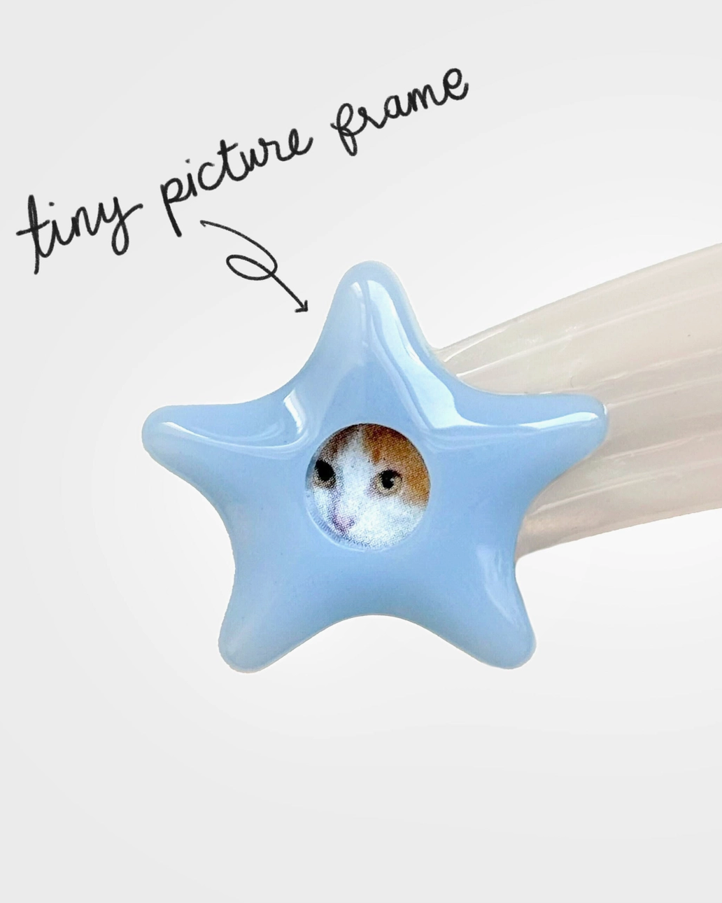 Star-shaped blue frame with a small round window containing a hamster, on a white background.