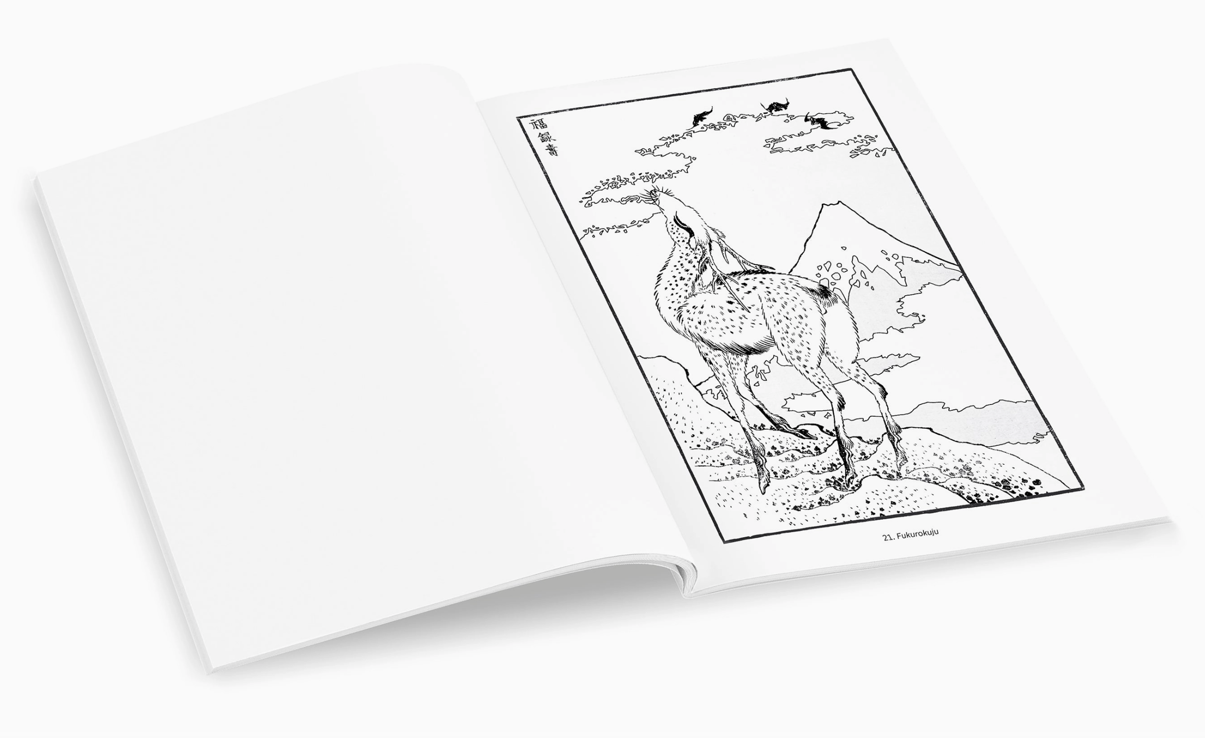 Mount Fuji Coloring Book 
