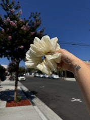 Organza Oversized Scrunchie