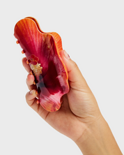 Hand holding a red and orange gourd-shaped object against a white background