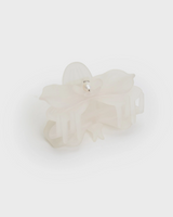 Orchid Claw by Chunks