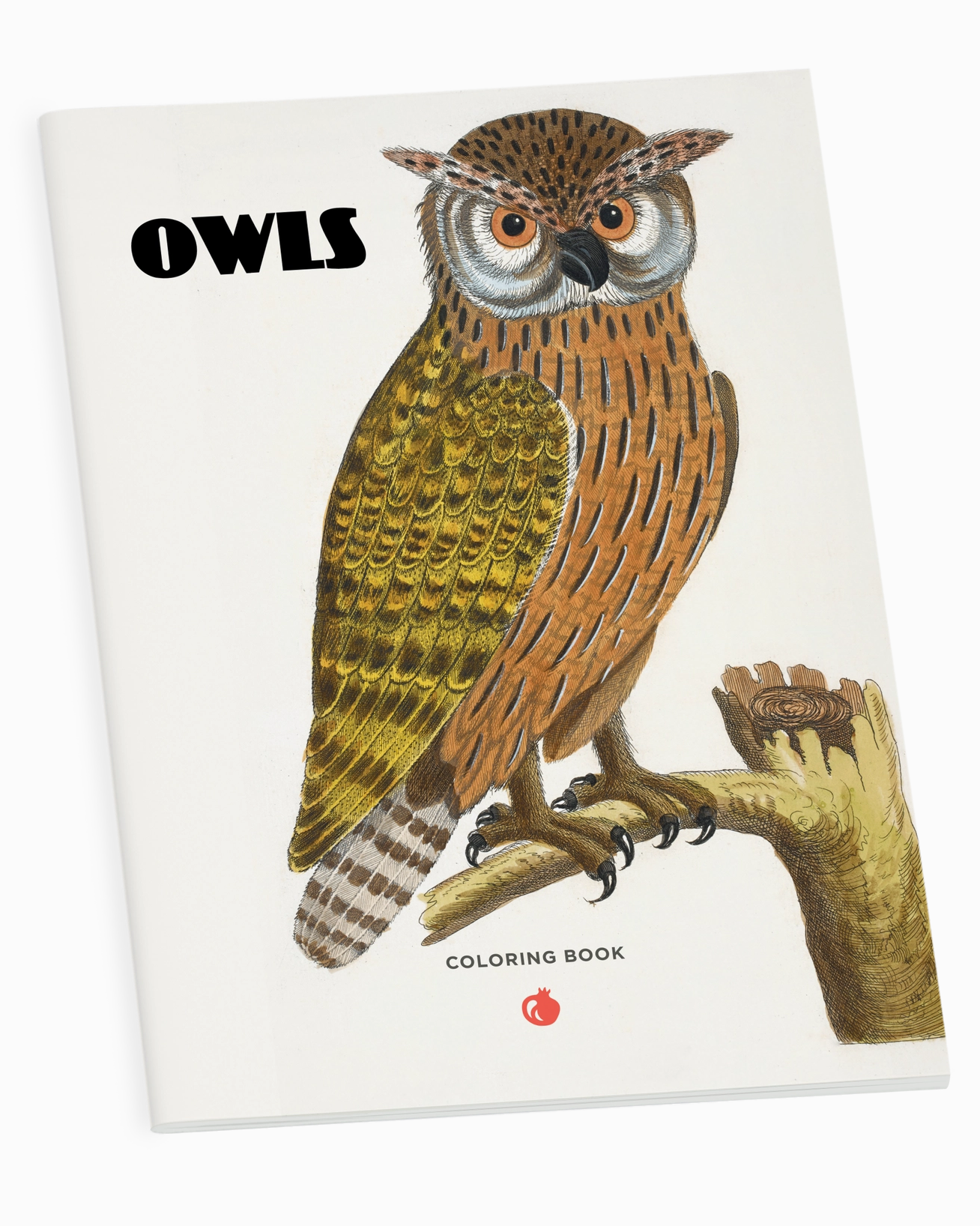 Owl Coloring Book 