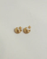 Rounded Ridged C-Hoop Earrings