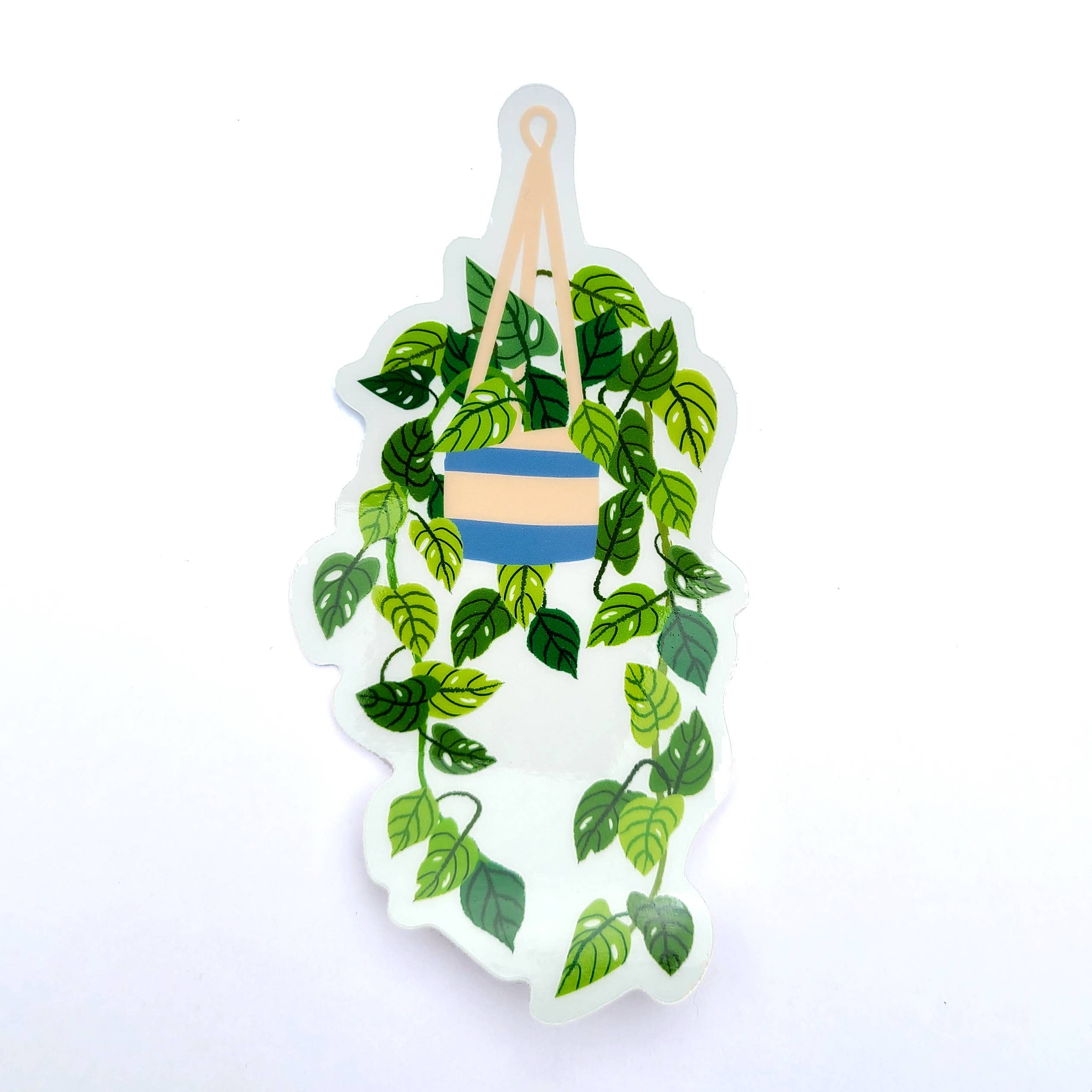 Wild Optimist Transparent Hanging Pothos Sticker